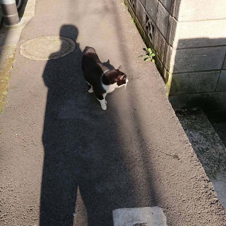 8b364c1c 963a 47ac 9ba6 3ca27178789f 1680303362332