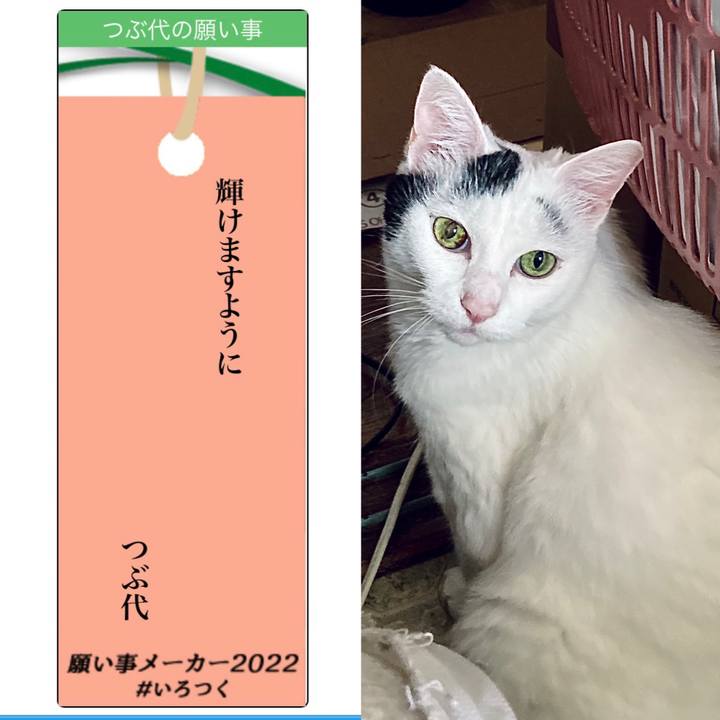 8b366635 a400 4b88 a644 382d3d3dfda3 1657057234740