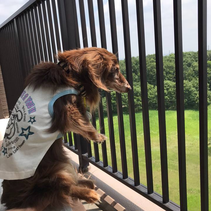 8b3694d2 0b8e 43bf a627 acf83db2ba34 1591600448601