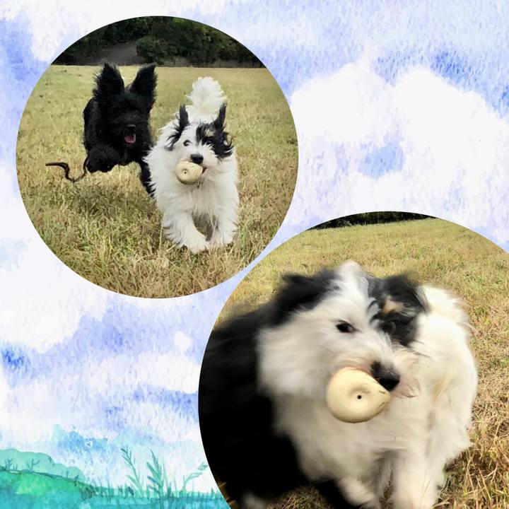 8b36aa2e 33d5 4ea4 9c74 dda96cf625bf 1539817728063