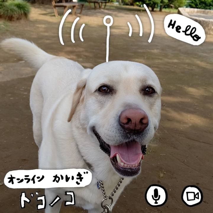 8b36c9f4 fbff 4dfb acdb 97d5b6fae694 1591319465759