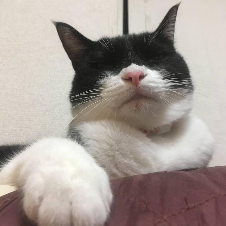 8b36d220 1956 4b89 8783 3c103e301838 1569149980769