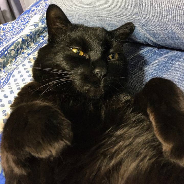 8b3712aa e687 4d2b 8899 cec3b0f85996 1602194939441