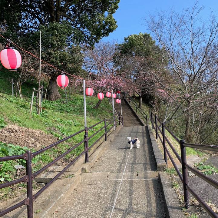 8b373720 8b87 46cd bd6a eaccfc5f3f91 1580733618856