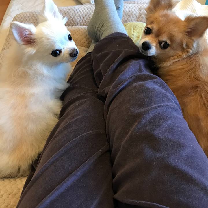 8b376003 52cc 4f6a 9c4d 4b65e4fdf21e 1511484913204