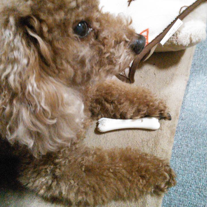 8b378c03 aa6b 4894 be4c d0eaf5033531 1643791314465