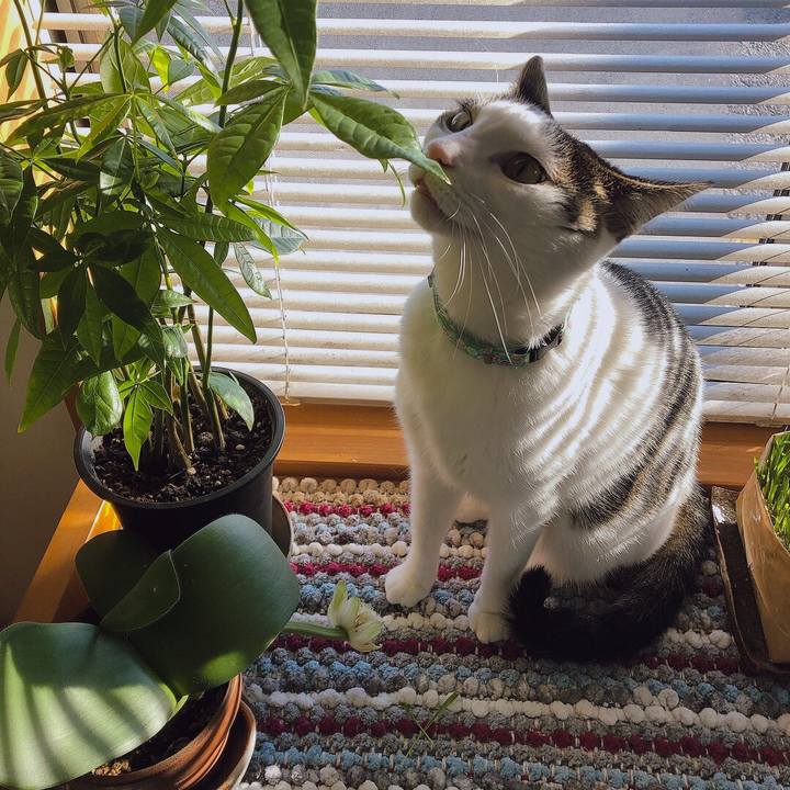 8b379144 f89e 4076 b32f f26eeea295e3 1676935261049