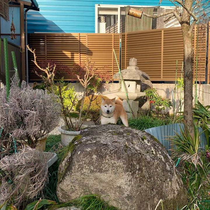 8b37d86a a97d 43a3 8f85 50e2ca99b5a0 1647767408498