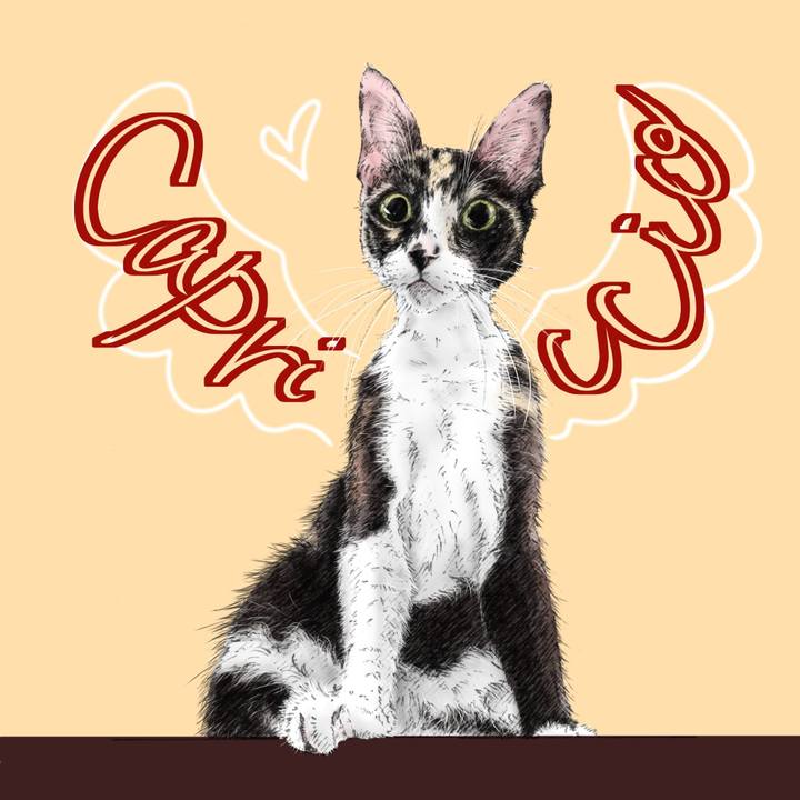 8b3826dc 7d18 4b3f 9e75 6413745a69a2 1624664214716