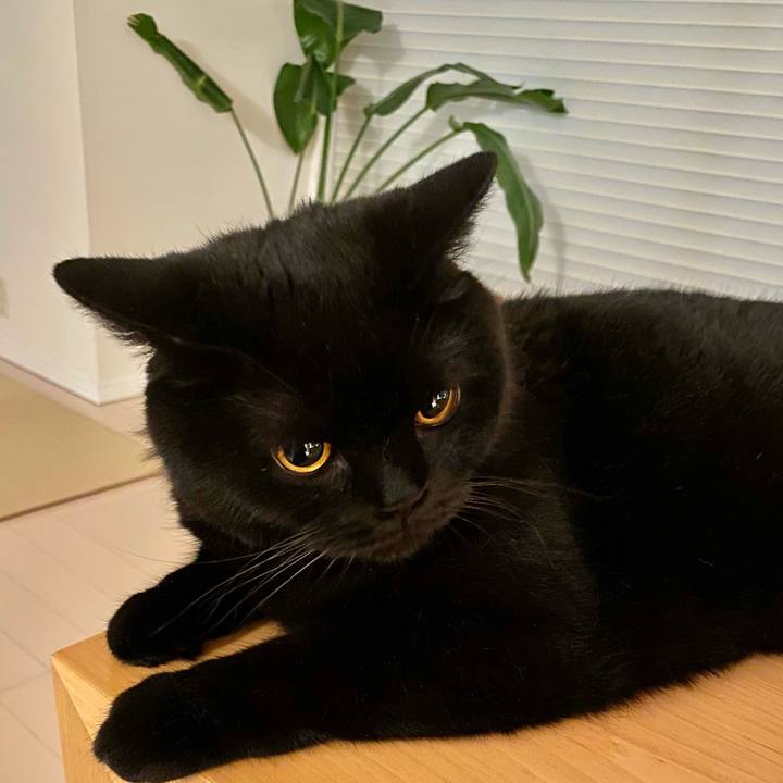 8b382f32 435f 4a0c 94bf f5895878650c 1656940796643