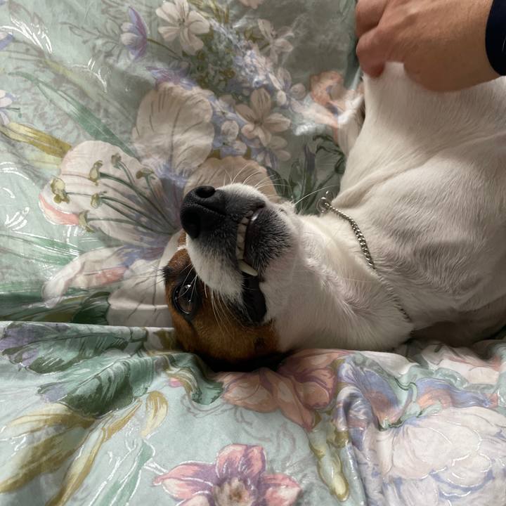 8b3853c2 c777 4f07 afbe 0ec1e5128b2b 1647902489229