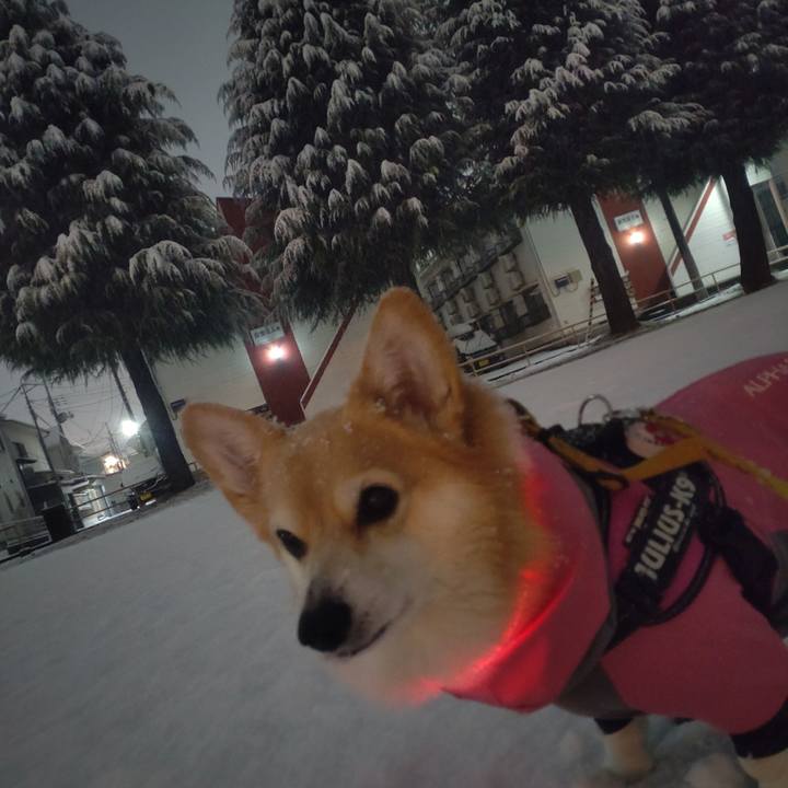 8b385d45 c51b 400e 9943 d09a7e7a209b 1736414215978