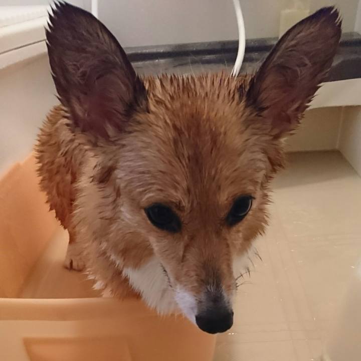 8b386746 439e 4da5 b7cc 922217cc0b9f 1555245443128