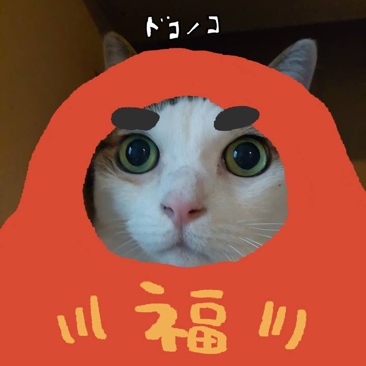 8b38a5b3 6194 47ca bd62 078bf3686619 1772238461968