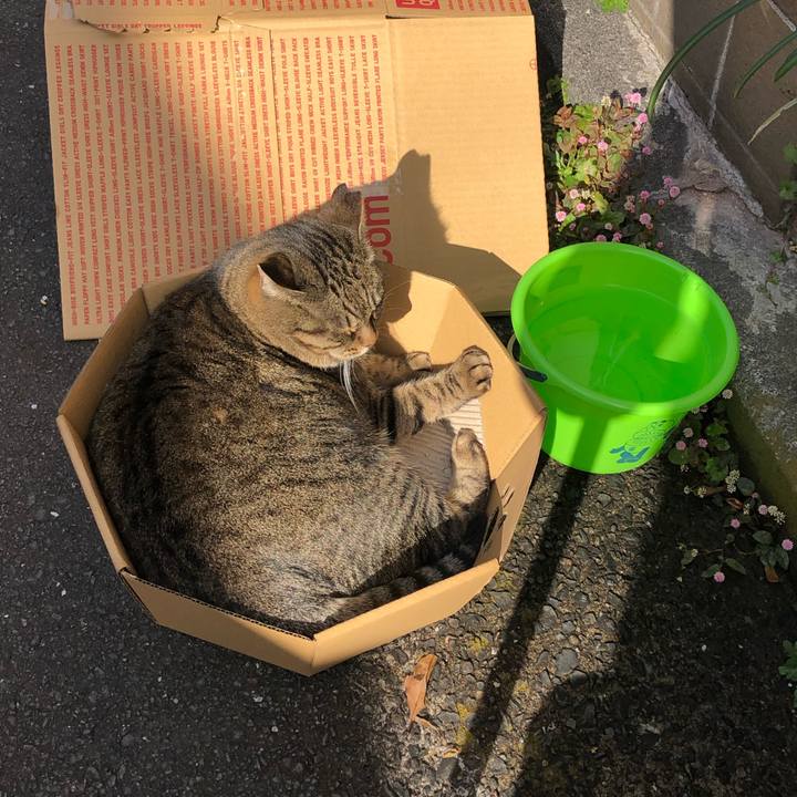 8b38b6b7 9754 439d 91e3 5042f28b6197 1544853419828