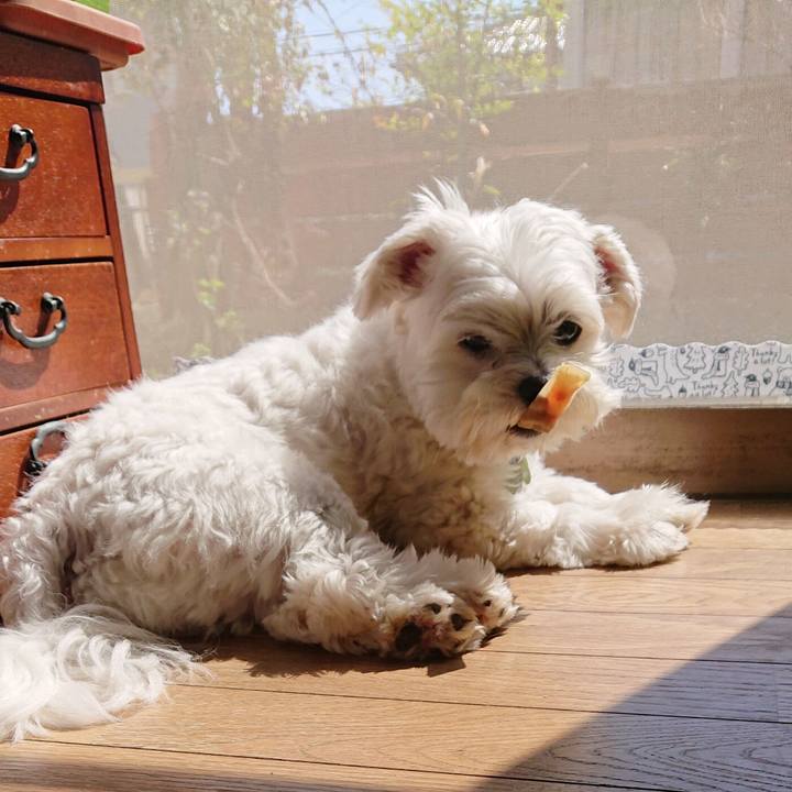 8b390151 0188 4ac0 8b65 1fd1684df0ea 1555304281917