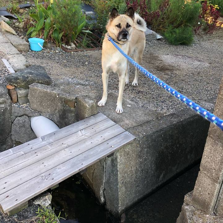 8b3912f0 592a 4771 92b5 73b3341192e7 1539423331709