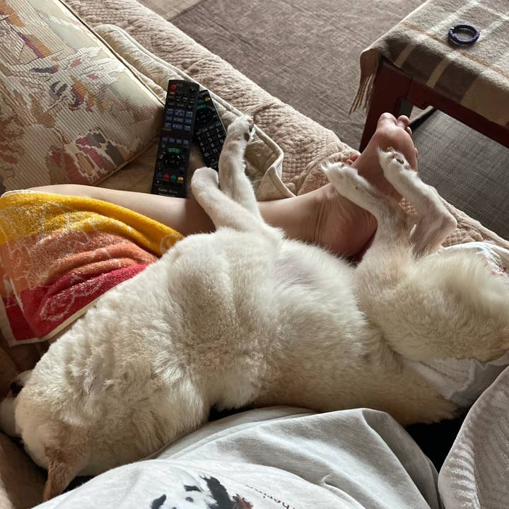 8b393e2a c3aa 4fff 8468 e05503e02e4c 1663565646429