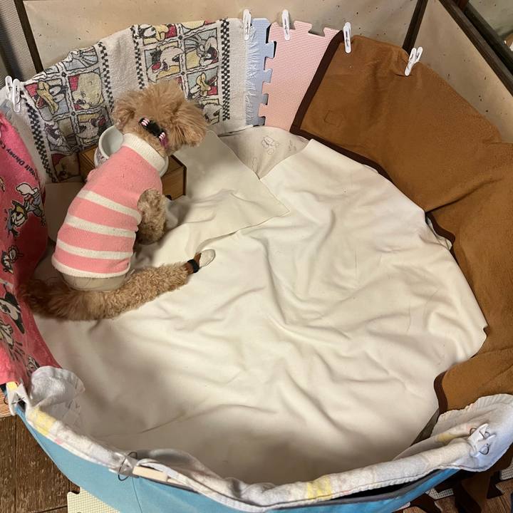 8b396277 b501 4547 bc1b bd587aa58605 1769241983163