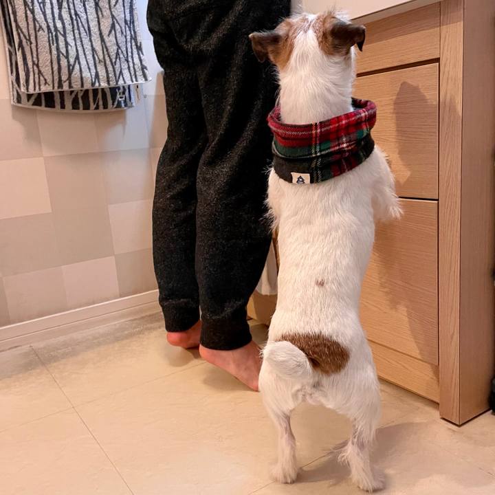 8b39a732 1443 425f ab77 83493d050f41 1672747133348