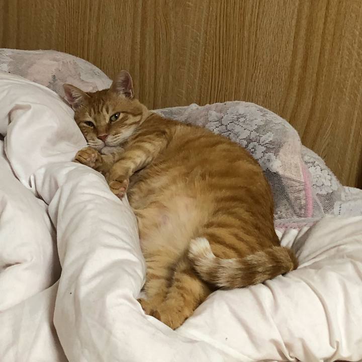 8b39cd80 cdd2 4a81 b530 09c34849a60b 1604409907296