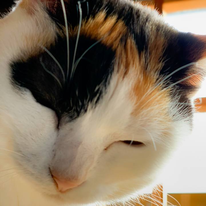 8b39e3d8 0059 4d48 ab99 93af0b802d88 1585361221527