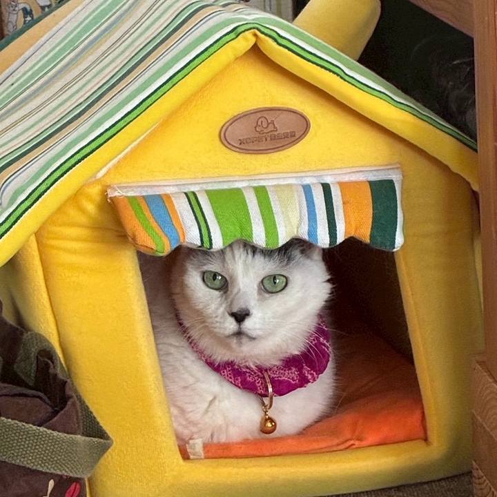 8b3a0a3c 2594 4fe7 aa4e 06b66dd265bf 1767251691476