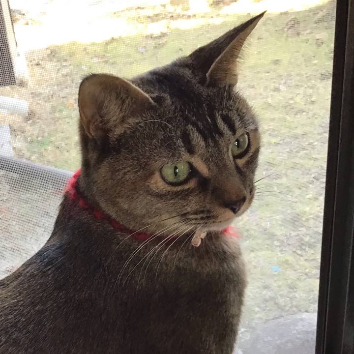 8b3a1527 e5c2 4dfb a88d d3439def9f6f 1613976632865