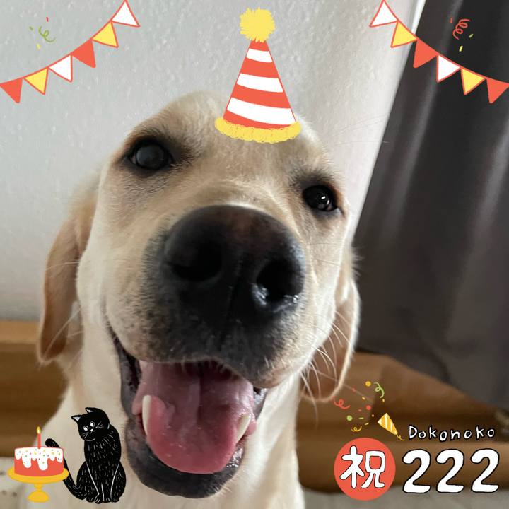 8b3a186b 461c 4f9b 9dd2 cccb3ec045e4 1645488886873