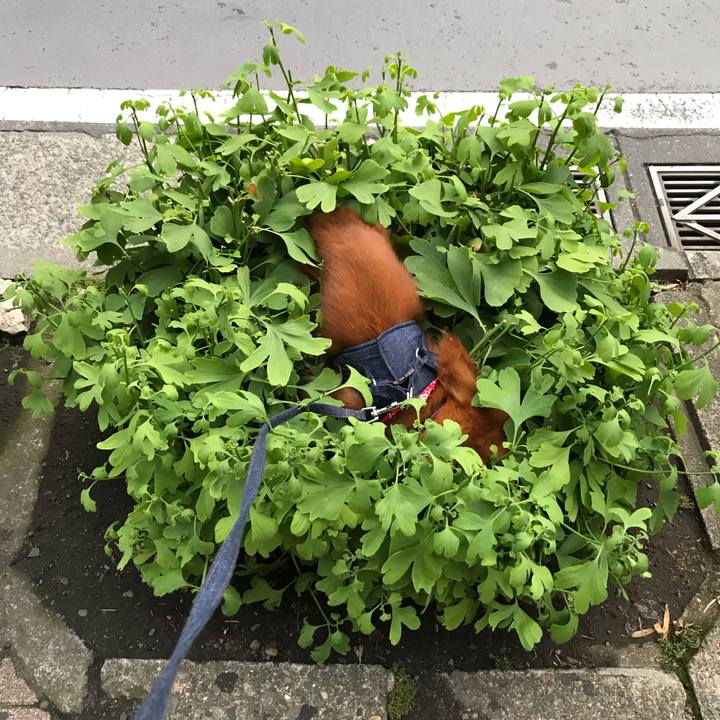 8b3a4fbf f9a4 4902 a00d da2b10b30ab0 1591094551530