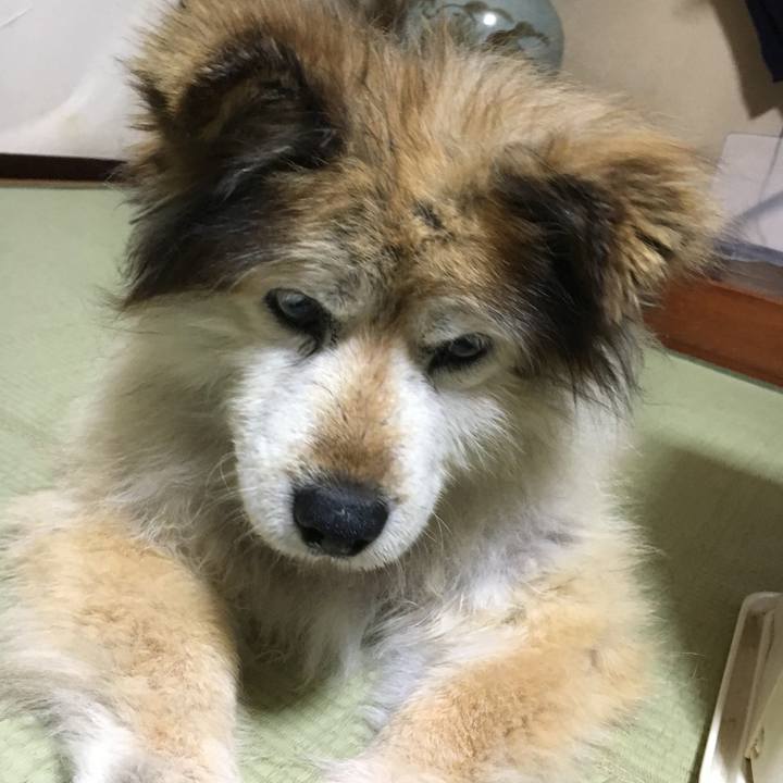 8b3a97bd e06e 48ff ba2b 8bc2555f630d 1614904796442