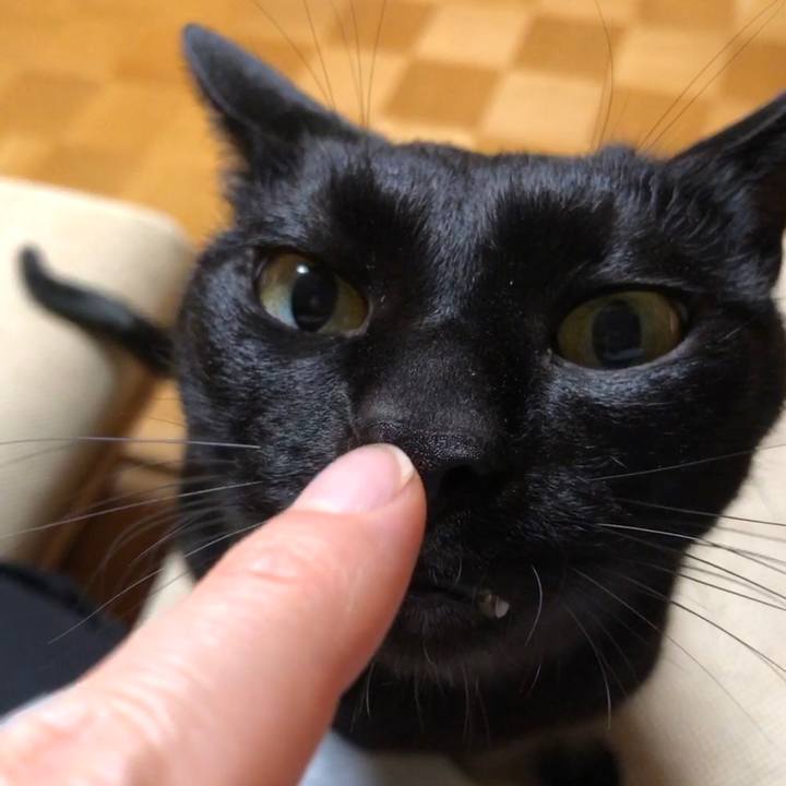 8b3ae726 de48 476a 8f40 390338f6980e 1708079742358