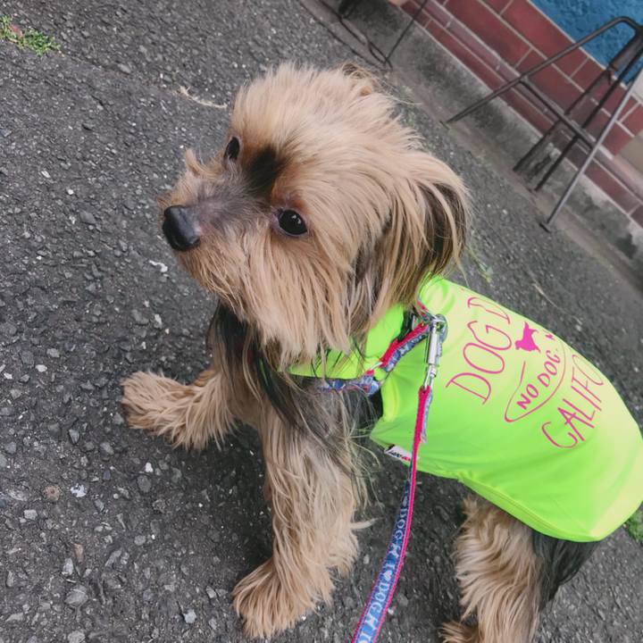 8b3b3c98 ed3c 48ff 8884 46500bcbcad4 1526115633377