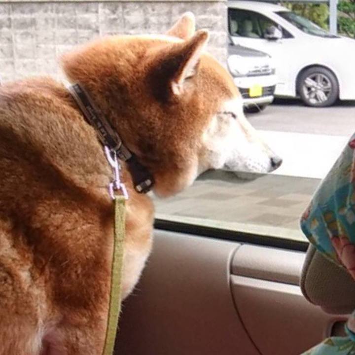 8b3b8397 bf2a 4c99 9c52 d3e7fa668211 1620796453403