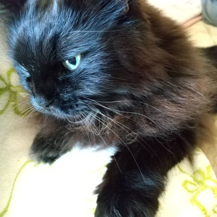 8b3b9310 b274 42d5 92a5 85fa907be64f 1672356209589