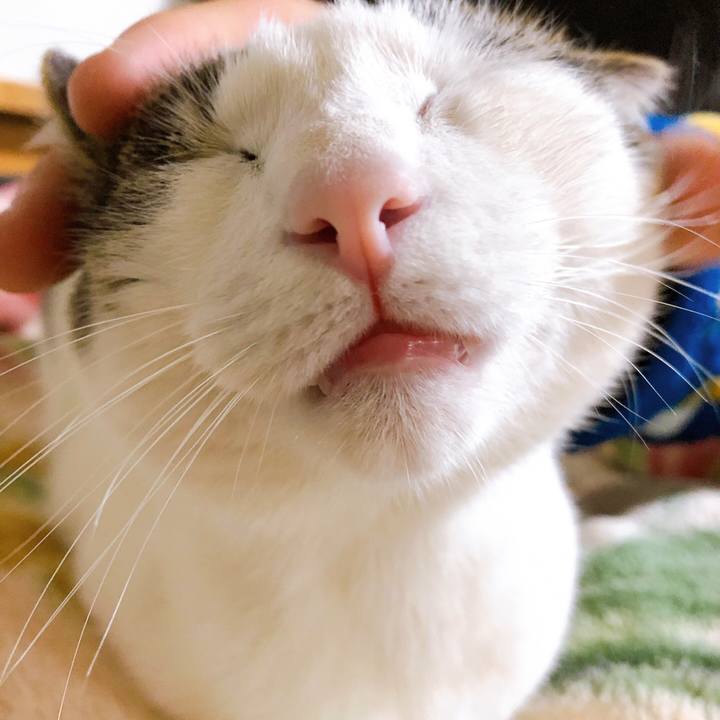 8b3b9ebc c533 4604 8b9f 052272302b76 1612098006595