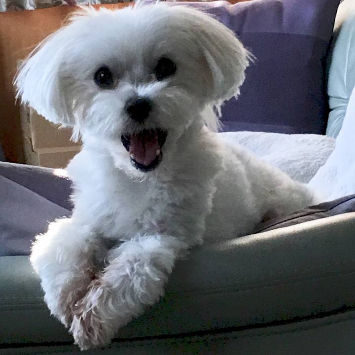 8b3bc682 94a4 4aa1 901a 90a105e589c7 1533124593547