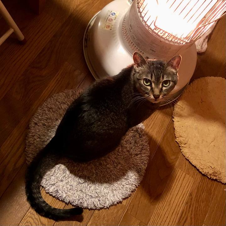 8b3bcea3 6d4c 4f65 9b84 54a461769845 1671930947454