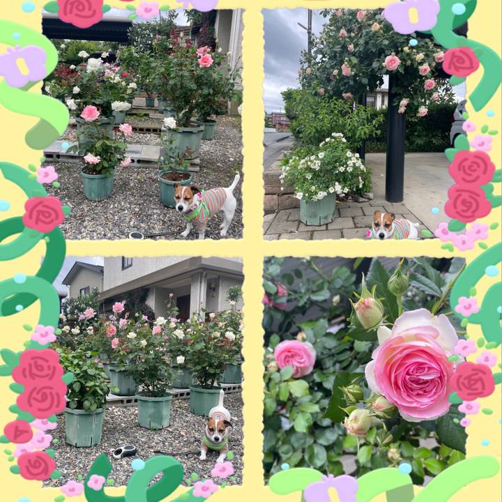 8b3bdf14 3443 455f 8b5b a8e36f37dcd3 1748175359607