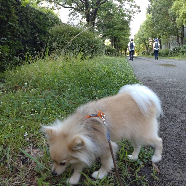 8b3c2aad 54a1 4cc0 8764 03e74630e24e 1750983558854