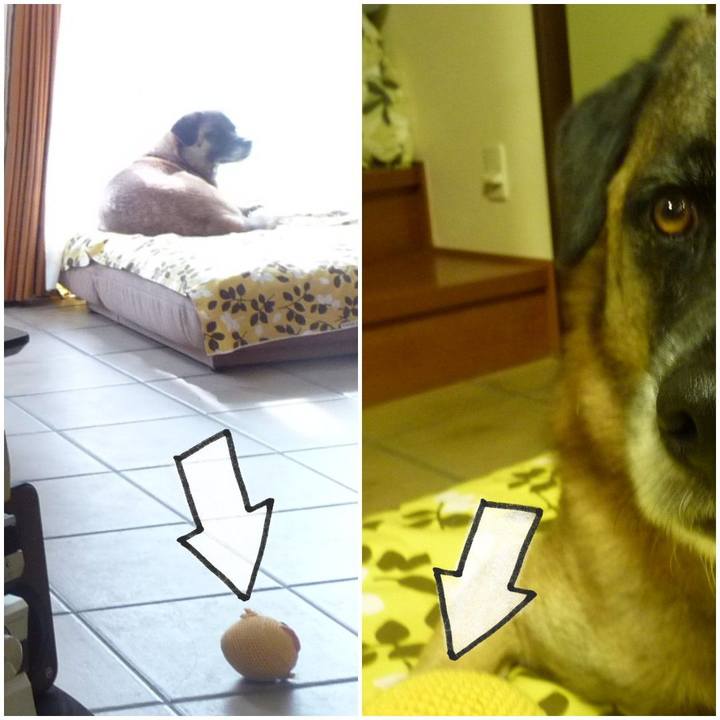 8b3c4671 8ab8 43db 999c f9d6000c00c1 1577536870979