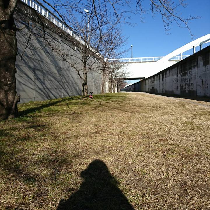 8b3c9fb9 6fbb 46dc bf00 6abd9c58167c 1515889590638