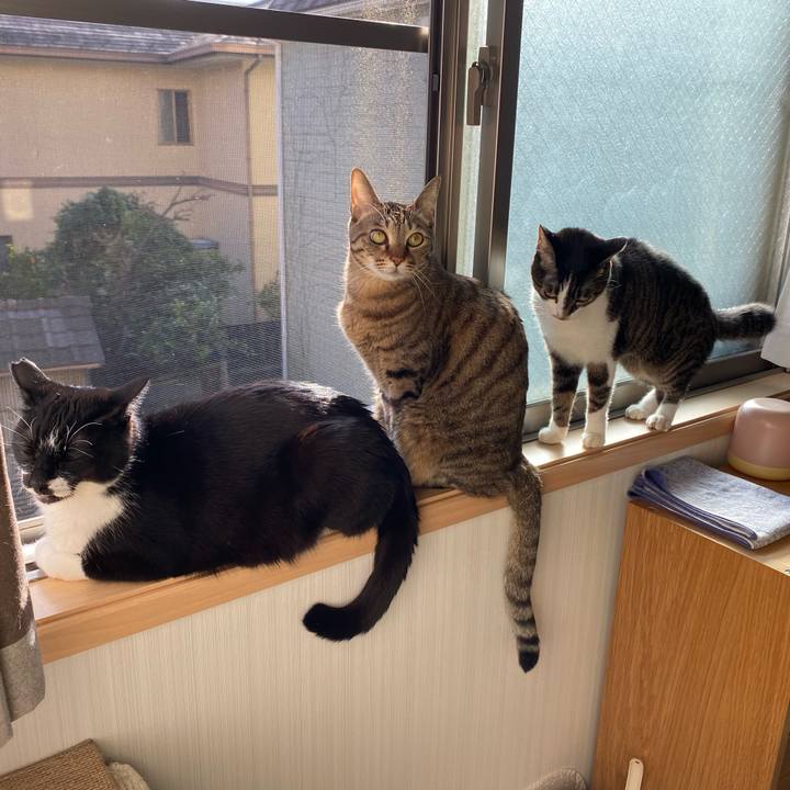 8b3ce7b2 def7 44d8 84db 3970914ee15e 1706752678193