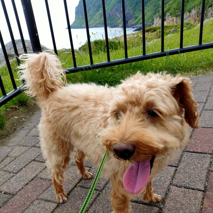 8b3d2b6a 310a 4ca3 a47b 2ada417b6f7a 1592566529581