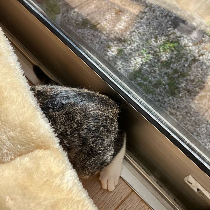 8b3d602e 17f4 43b7 ba12 bceda423d015 1762174758740