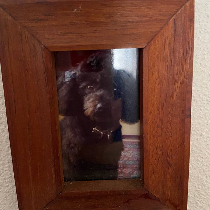 8b3d6d12 64e5 4189 8640 f46745249c09 1663293037282