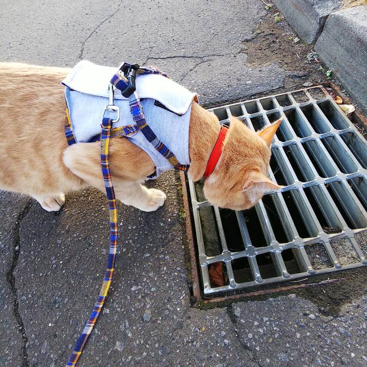 8b3d750a ac38 4983 b36b b68e2cfa52ff 1572939929895