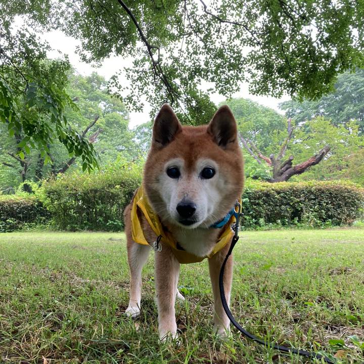 8b3db14e 567e 4ef8 b63c 11861bab7851 1748913678898