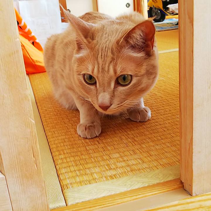 8b3db32d 13a0 44ea 95f3 5c39eb7c3754 1584246497943