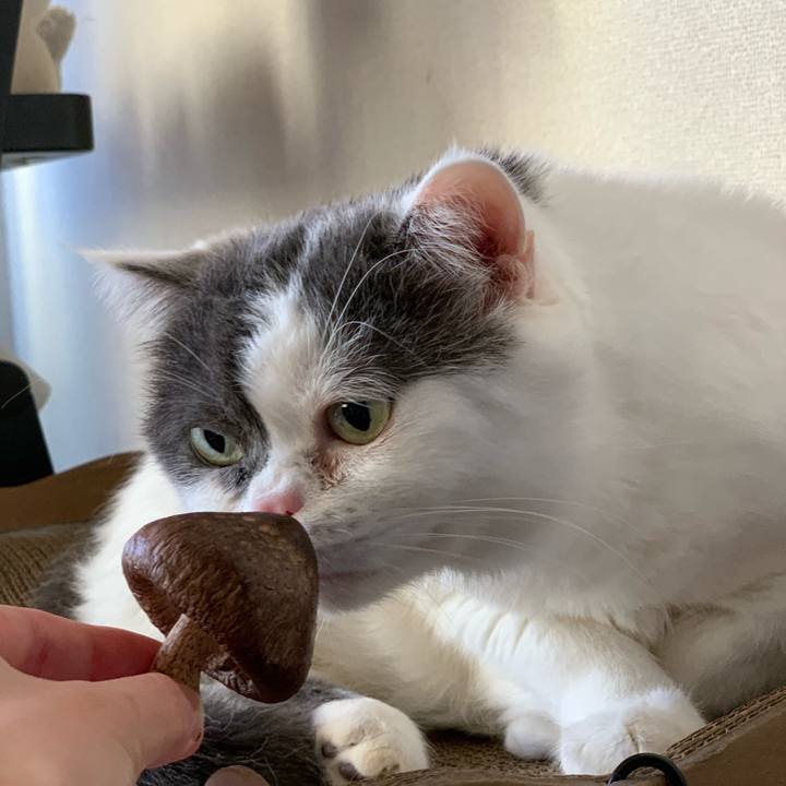 8b3dda19 ca58 4bf7 8300 345a3555d4c6 1618128981630